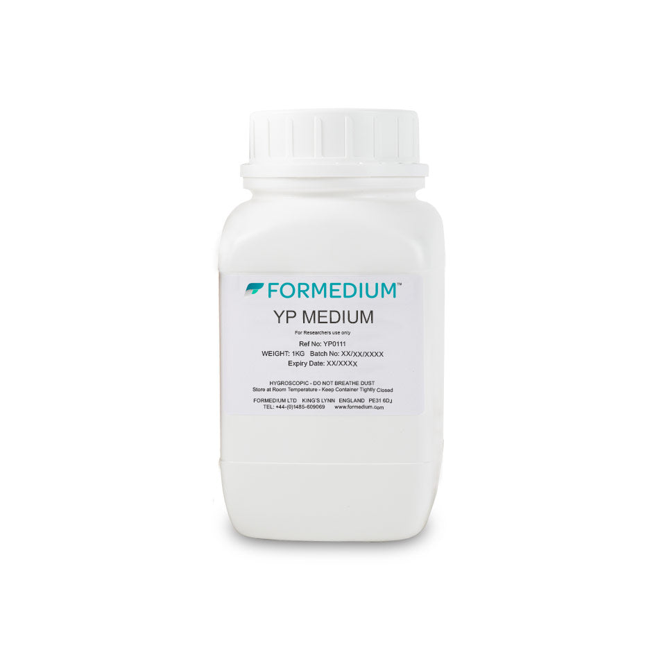 YP Medium